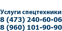 АСТ Град Воронеж