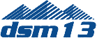 Dsm13