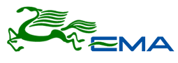 Ема Челябинск