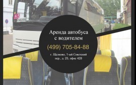 Туристического класса от 31-91 посадочных мест! Гарантия!