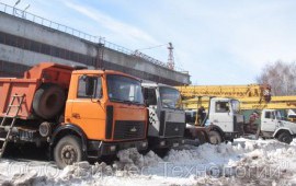 Сдам в аренду самосвал МАЗ
