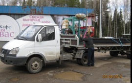 Газель