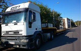 Сдам в аренду низкорамную платформу IVECO