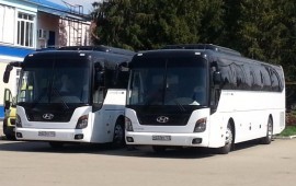Заказ новых автобусов детские перевозки лицензия