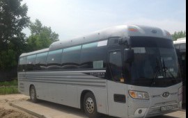 Автобусные перевозки
