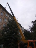 Автокран 25 тн стрела 21м