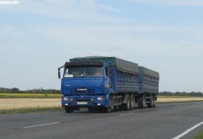Услуги зерновозов.