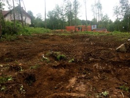 Погрузчик Экскаватор Трактор Аренда Парголово, Левашово, Песочный, Осиновая роща, Юкки, Порошкино, Мендсары, Энколово, 