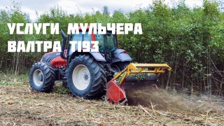 Аренда/Услуги Мульчера