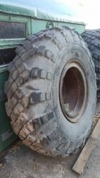 Шины 1500/500-610 R-24 ВИ-202 для спецтехники, погрузчиков