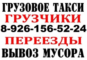 ГРУЗОПЕРЕВОЗКИ, ВЫВОЗ МУСОРА, ГРУЗЧИКИ, ЧАСТНИК 
