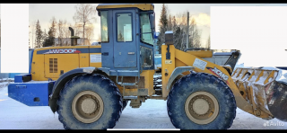 XCMG - LW300F. 2010 год.