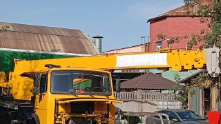 Продам рабочую лошадку
